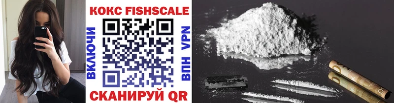 COCAIN FishScale  где найти наркотики  Сясьстрой 